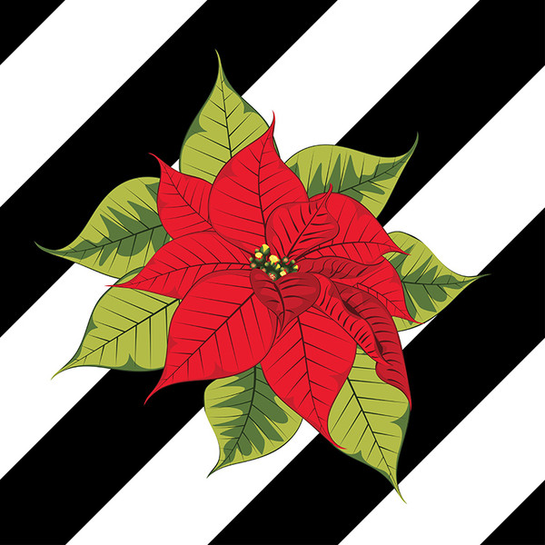 Poinsettia on black stripes3.jpg