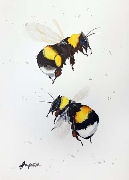 watercolor bees bumblebee painting by Anne Gorywine