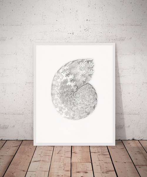 Haeckel-sea-shell-print.jpg