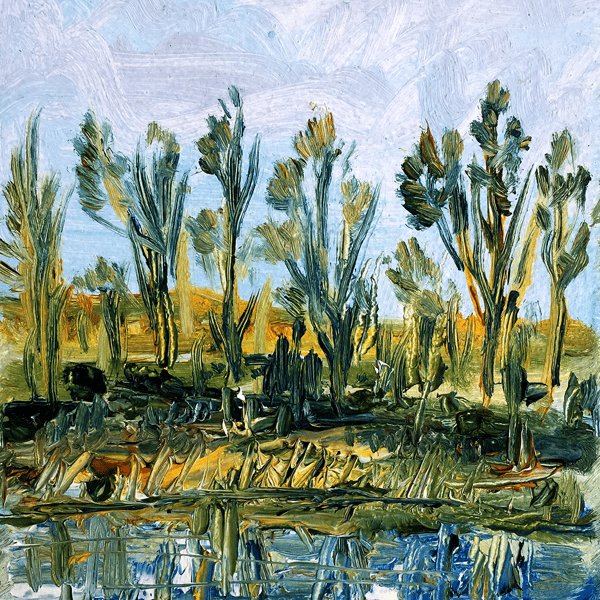 Trees and River 1.jpg