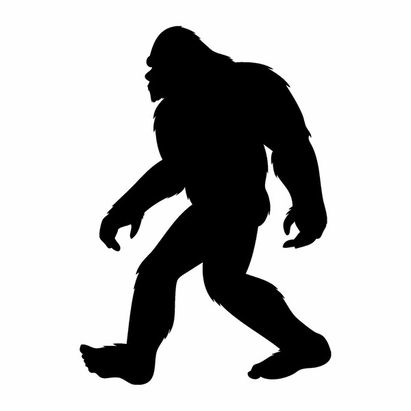 big Foot5.jpg