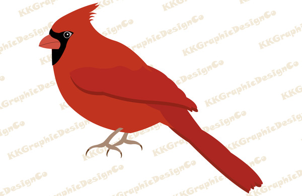 Cardinal bird svg.jpg