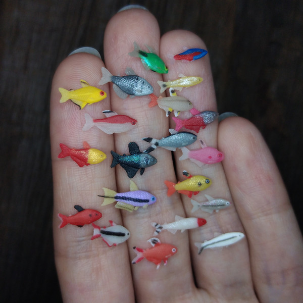 miniature-tetra-fish-2.jpg