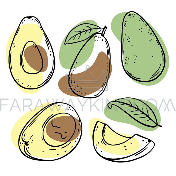 AVOCADO [site].jpg