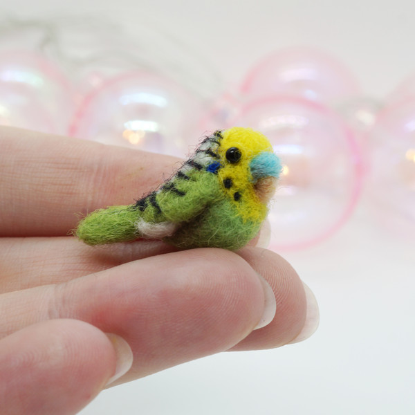 miniature-budgie