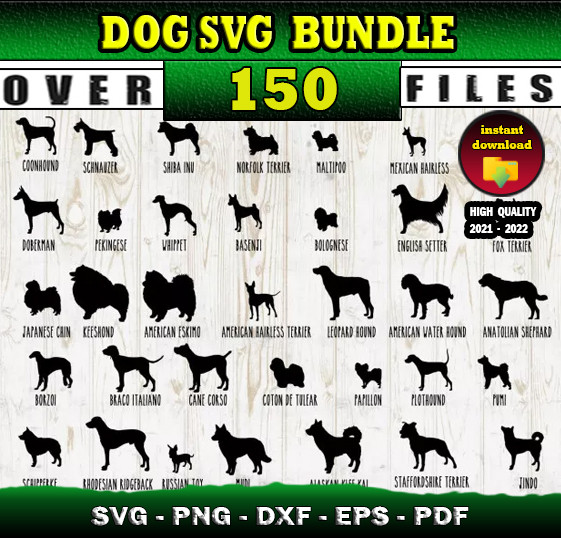 DOG SVG.jpg