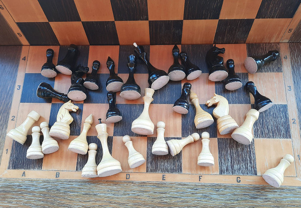 big_chess_from_luga7.jpg