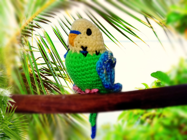 amigurumi_parrot.jpg