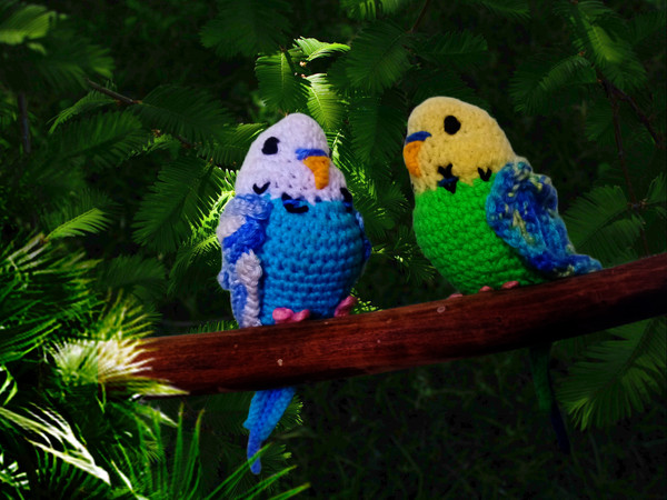 parakeet_parrot_crochet.jpg