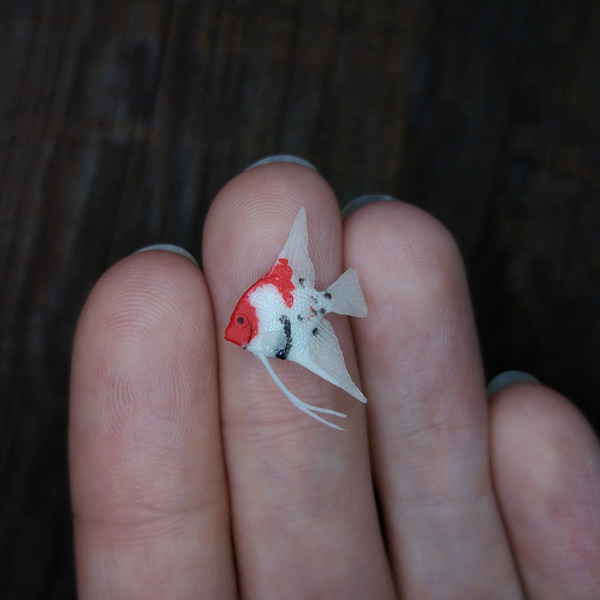 mini-fish-for-diorama-2.jpg