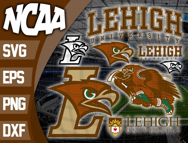 Lehigh Mountain Hawks.jpg