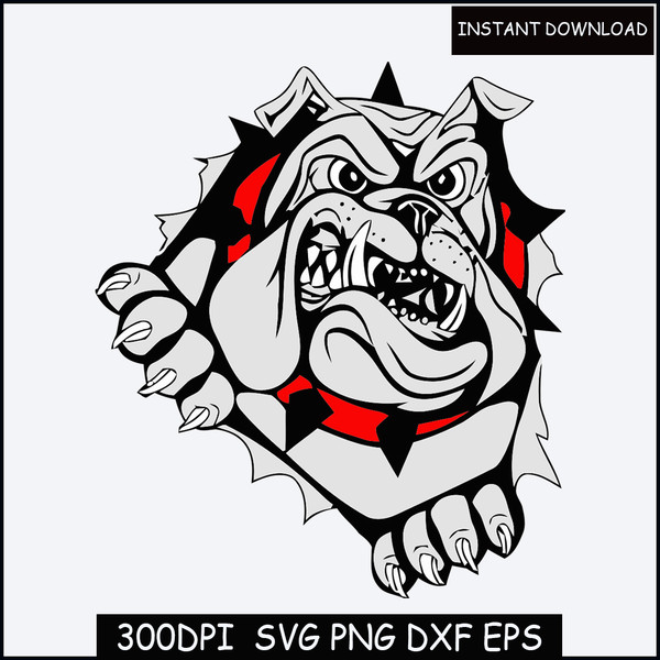 Go Dawgs SVG, Georgia bulldogs national champions svg, Georgia bulldogs Svg, bulldogs national champions svg, for cricut, Cut Files, Png,SVG.jpg