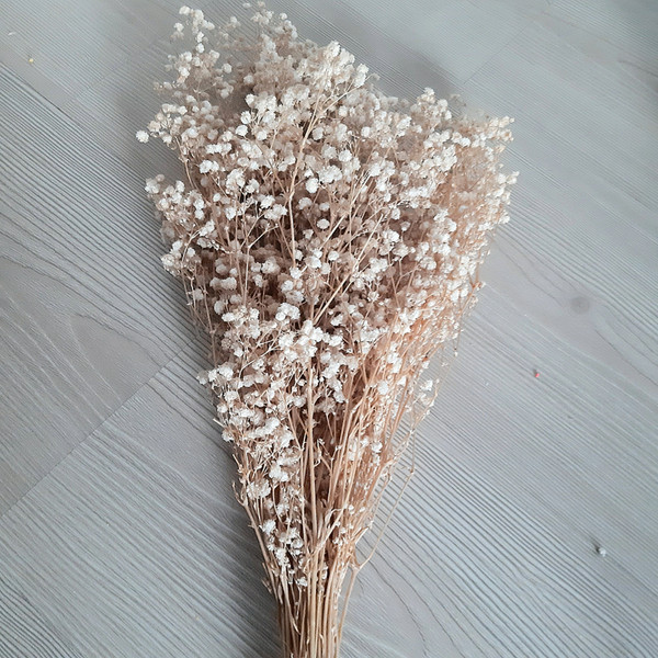 6 bunch baby's breath flowers, dried flower bouquet, dried f - Inspire  Uplift