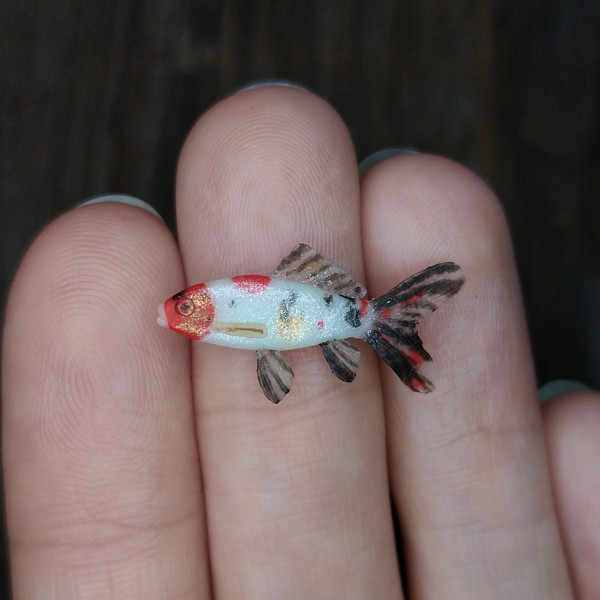 miniature-koi-goldfish-1.jpg