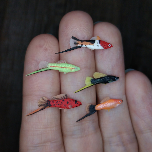 Miniature Swordtail lfish 5 pcs, tiny fish for diorama or do - Inspire  Uplift