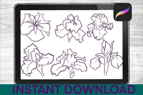 Irises-Brushes-Procreate-Stamps-Graphics-32166107-2-580x387.jpg