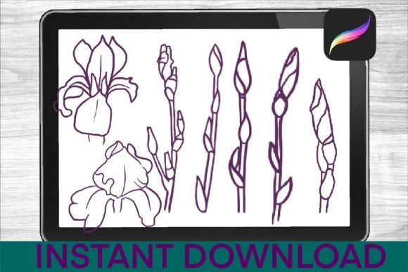 Irises-Brushes-Procreate-Stamps-Graphics-32166107-4-580x387.jpg