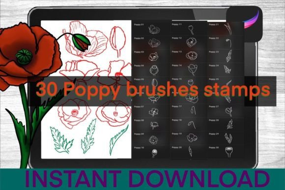 Poppy-Brushes-Procreate-Stamps-Graphics-32740731-1-1-580x387.jpg