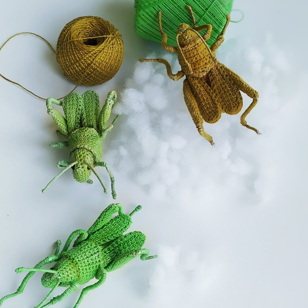 Grasshopper locust crochet pattern 8.jpg