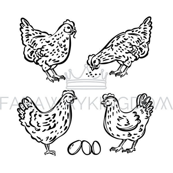 HEN CHICK SKETCHES [site].jpg