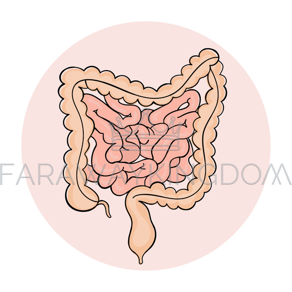 INTESTINES [site].jpg