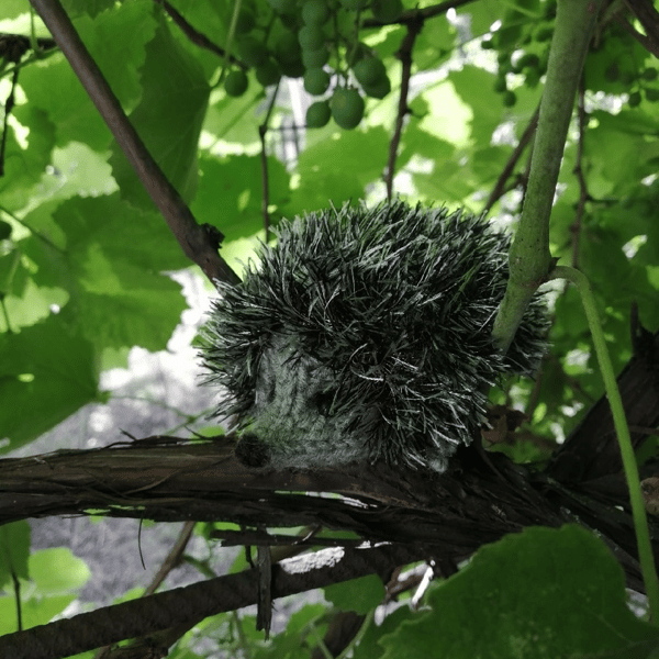 Hedgehog knitting pattern, cute toy knitting pattern, pincushion or tiny toy guide, hedgehog amigurumi knitting, diy 6.jpg