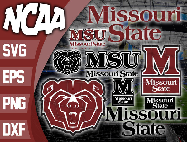 Missouri State Bears.jpg