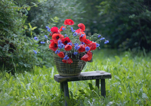 Poppies and cornflowers in a basket - printable poster