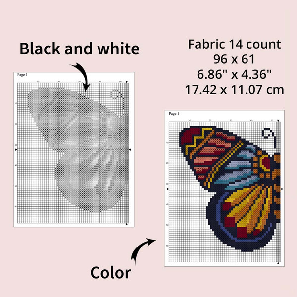 Butterfly 19-4.jpg