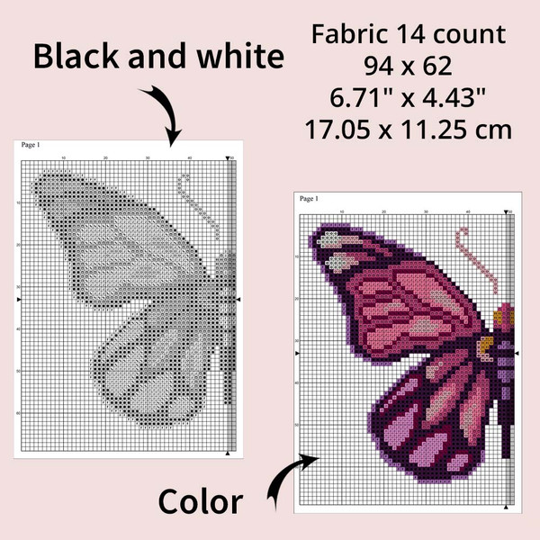 butterfly 4-5.jpg