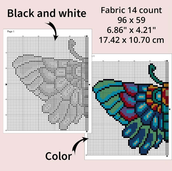 butterfly 2-4.jpg