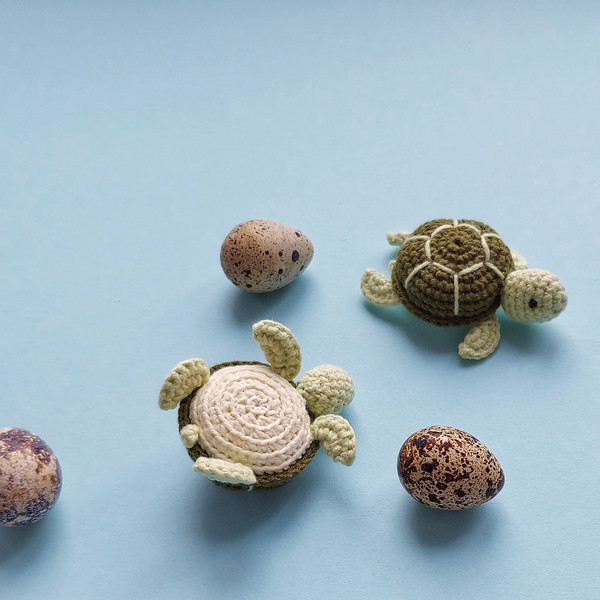 Amigurumi crochet pattern baby turtle.jpeg