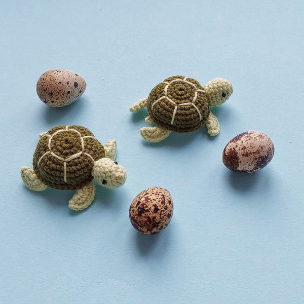 Amigurumi crochet pattern mini turtle.jpeg