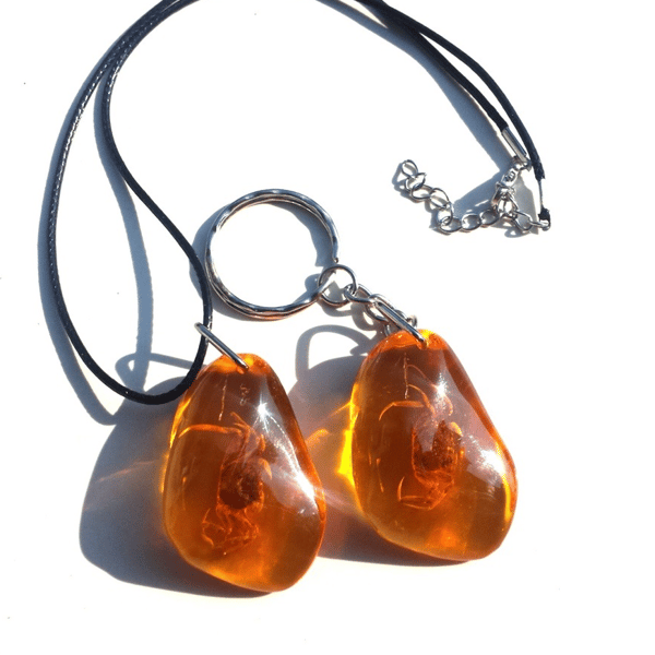 sale. Real Crab in Amber Resin Cancer Pendant Necklace ocean animal jewelry keychain adult gift children