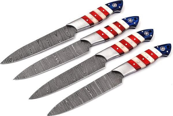 4Pcs Damascus Steak Knife Set