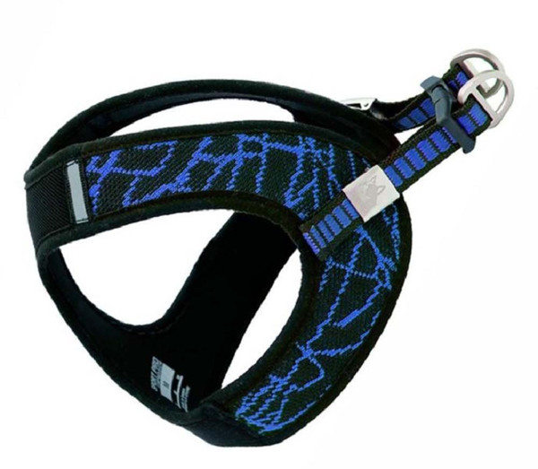 Blue_Pet Harness.jpg