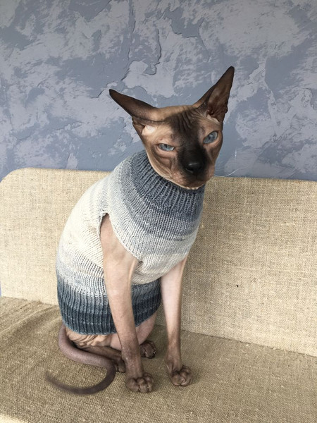 cat clothes, cat sweater, sphynx clothes, sphynx sweater, wa - Inspire  Uplift
