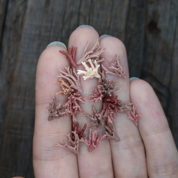 mini-corals-for diorama-1.jpg