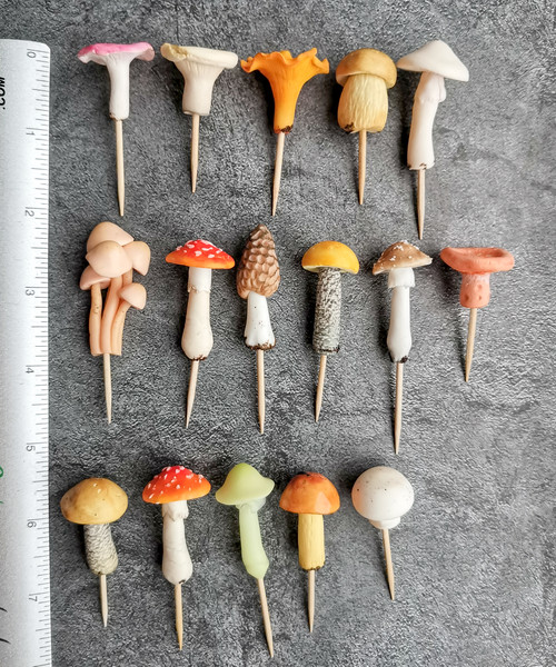 miniature mushrooms.jpg