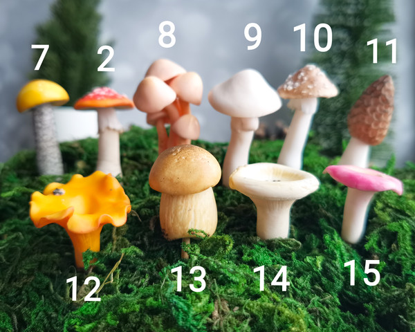 miniature mushrooms.jpg