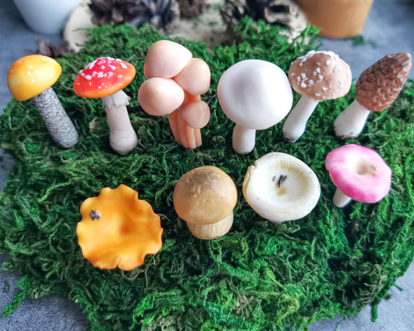 miniature mushrooms.jpg