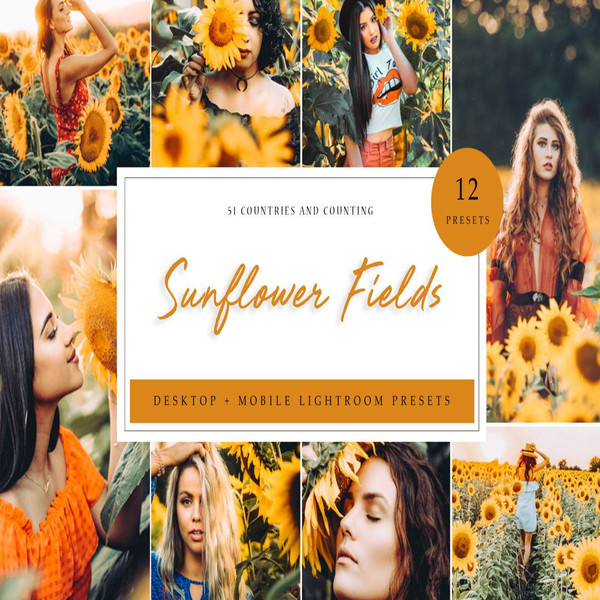 1080x1080 size Sunflower-Fields-Desktop-1594x1062.jpg