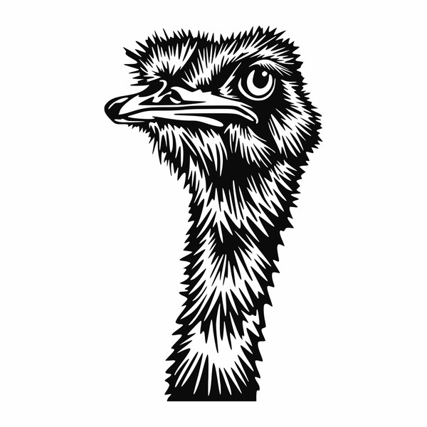 Ostrich head stylized1.jpg