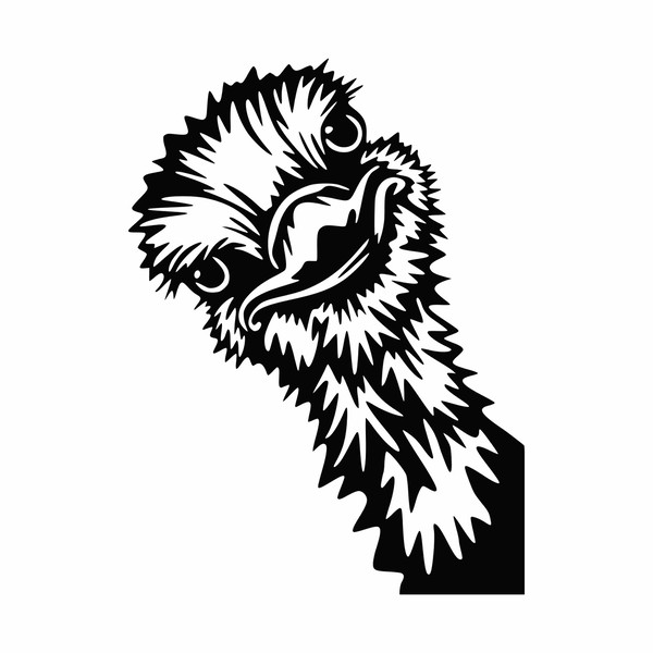 Ostrich head stylized4.jpg