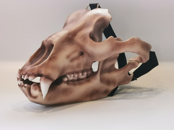 Bear skull mask full fase Realistic Replica, bear skull, hal