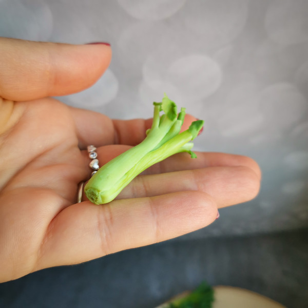 miniature spring onion.jpg