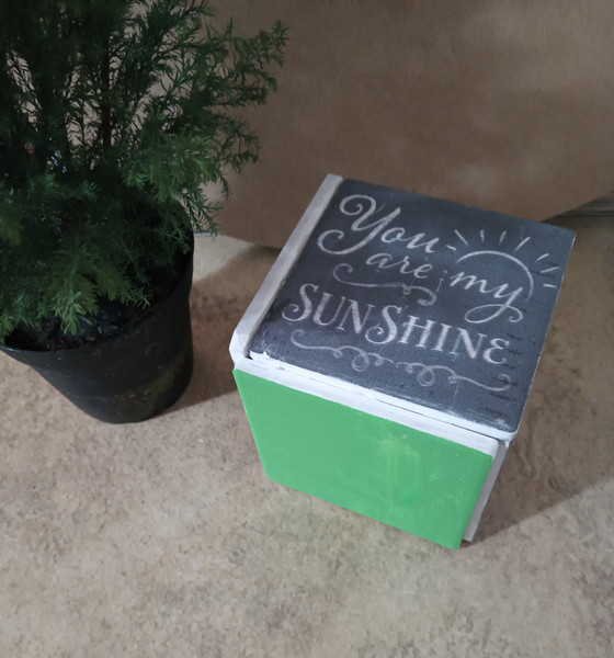 You Are My Sunschine Plant Box - Bottom.jpg
