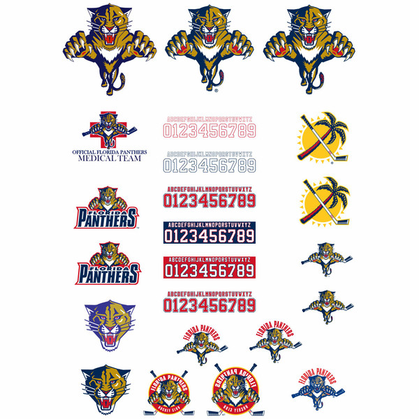 Florida Panthers.jpg