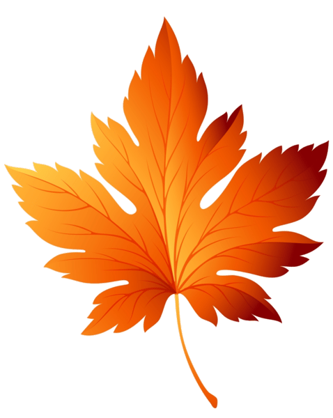 Leaf (4).png