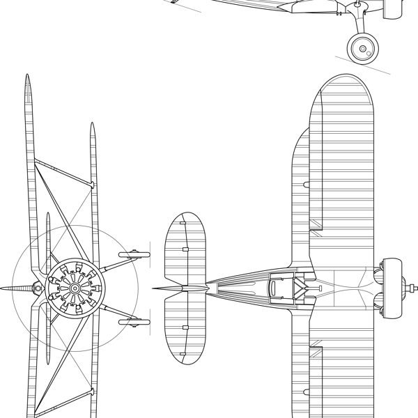 Polikarpov_I-15.jpg